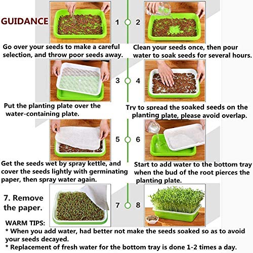 SHEING Seed Sprouter Germination Tray 5 Pack, BPA Free Nursery Healthy Wheatgrass Seeds Grower & Storage Trays for Garden Home Office