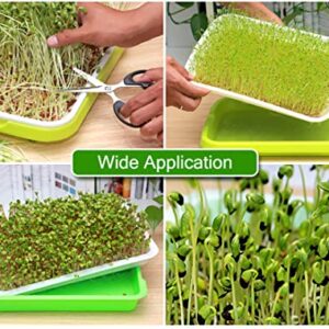 SHEING Seed Sprouter Germination Tray 5 Pack, BPA Free Nursery Healthy Wheatgrass Seeds Grower & Storage Trays for Garden Home Office