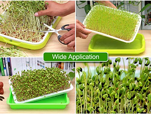 SHEING Seed Sprouter Germination Tray 5 Pack, BPA Free Nursery Healthy Wheatgrass Seeds Grower & Storage Trays for Garden Home Office