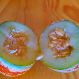 10 Rare Kajari Melon Seeds - Bright Striped Melon, Compact Vines - 60-70 Days Till Ripe - Grows in Shade