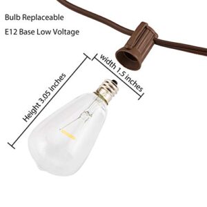 ZHONGXIN Solar String Lights Outdoor, Patio Lights String Waterproof with 10 Classic ST38 LED Edison Bulbs, Perfect for Garden, Backyard, Pergola, Party, Cafe, Bistro, Wedding, Camping Décoration