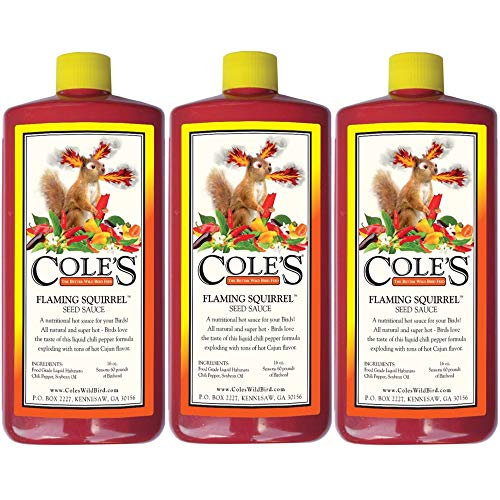 Cole's FS16 Flaming Squirrel Seed Sauce, 16-Ounce (3)