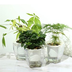 self watering planter , fengzhitao african violet pots, clear plastic automatic-watering planter flower pot square plant pot for all house plants, succulents, herb, african violets (3 packs small)