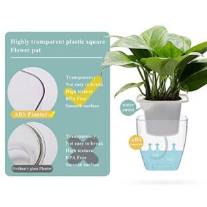 Self Watering Planter , FENGZHITAO African Violet Pots, Clear Plastic Automatic-Watering Planter Flower Pot Square Plant Pot for All House Plants, Succulents, Herb, African Violets (3 Packs Small)