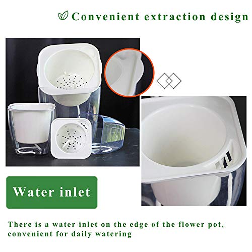 Self Watering Planter , FENGZHITAO African Violet Pots, Clear Plastic Automatic-Watering Planter Flower Pot Square Plant Pot for All House Plants, Succulents, Herb, African Violets (3 Packs Small)