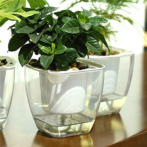 Self Watering Planter , FENGZHITAO African Violet Pots, Clear Plastic Automatic-Watering Planter Flower Pot Square Plant Pot for All House Plants, Succulents, Herb, African Violets (3 Packs Small)