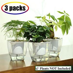 Self Watering Planter , FENGZHITAO African Violet Pots, Clear Plastic Automatic-Watering Planter Flower Pot Square Plant Pot for All House Plants, Succulents, Herb, African Violets (3 Packs Small)