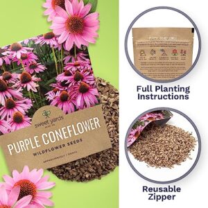 Purple Coneflower Seeds – Extra Large Packet – Over 3,000 Open Pollinated Non-GMO Wildflower Seeds – Echinacea purpurea