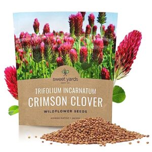 crimson clover seeds – extra large packet – over 5,000 open pollinated non-gmo seeds – trifolium incarnatum