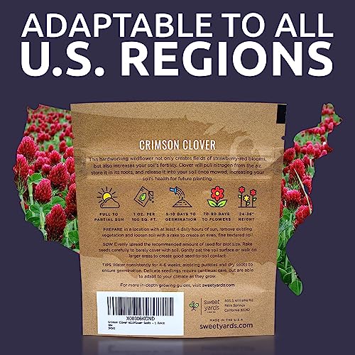 Crimson Clover Seeds – Extra Large Packet – Over 5,000 Open Pollinated Non-GMO Seeds – Trifolium incarnatum