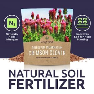 Crimson Clover Seeds – Extra Large Packet – Over 5,000 Open Pollinated Non-GMO Seeds – Trifolium incarnatum