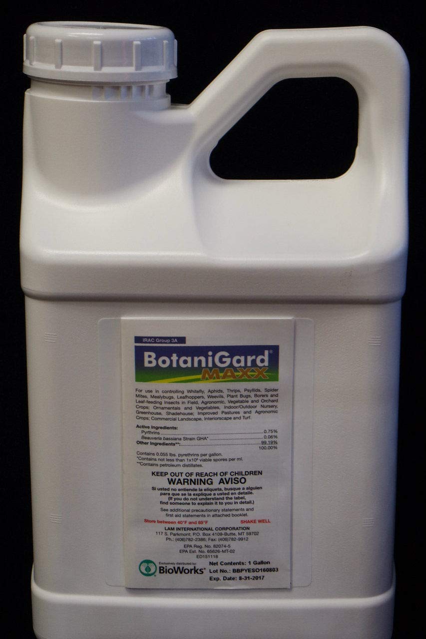 Botanigard Maxx 1 Gallon Beauveria bassiana