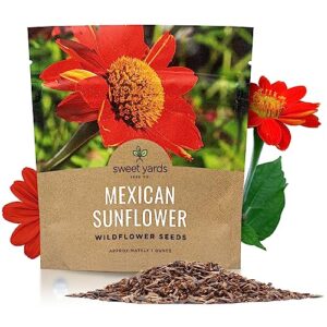 mexican sunflower seeds – extra large packet – over 2,500 open pollinated non-gmo wildflower seeds – tithonia rotundifolia