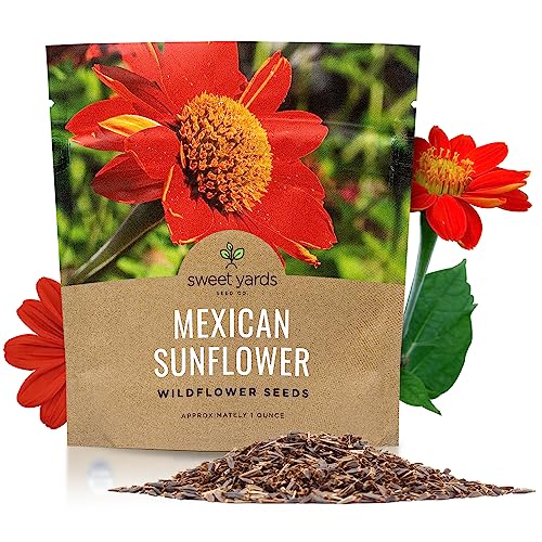 Mexican Sunflower Seeds – Extra Large Packet – Over 2,500 Open Pollinated Non-GMO Wildflower Seeds – Tithonia rotundifolia