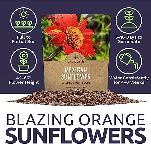 Mexican Sunflower Seeds – Extra Large Packet – Over 2,500 Open Pollinated Non-GMO Wildflower Seeds – Tithonia rotundifolia