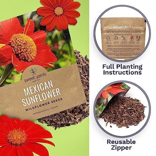 Mexican Sunflower Seeds – Extra Large Packet – Over 2,500 Open Pollinated Non-GMO Wildflower Seeds – Tithonia rotundifolia