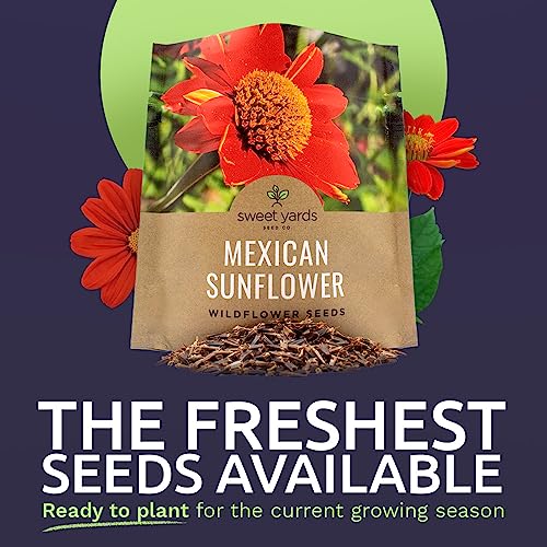 Mexican Sunflower Seeds – Extra Large Packet – Over 2,500 Open Pollinated Non-GMO Wildflower Seeds – Tithonia rotundifolia