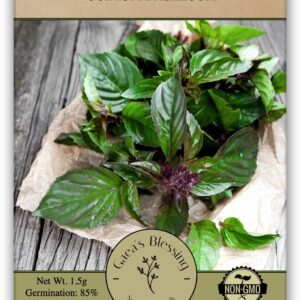 Gaea's Blessing Thai Basil Seeds - Non-GMO - with Easy to Follow Planting Instructions - Open-Pollinated Heirloom High Yield Heirloom 85% Germination Rate