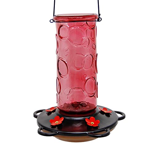 Juegoal 28 oz Glass Hummingbird Feeders for Outdoors, Wild Bird Feeder with 5 Feeding Ports, Metal Handle Hanging for Outdoor Garden Tree Yard, Red