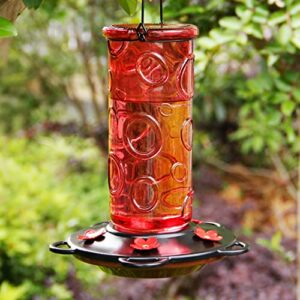 Juegoal 28 oz Glass Hummingbird Feeders for Outdoors, Wild Bird Feeder with 5 Feeding Ports, Metal Handle Hanging for Outdoor Garden Tree Yard, Red