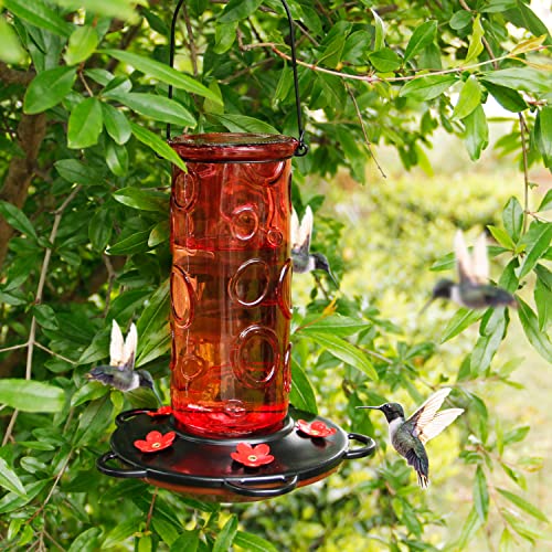 Juegoal 28 oz Glass Hummingbird Feeders for Outdoors, Wild Bird Feeder with 5 Feeding Ports, Metal Handle Hanging for Outdoor Garden Tree Yard, Red