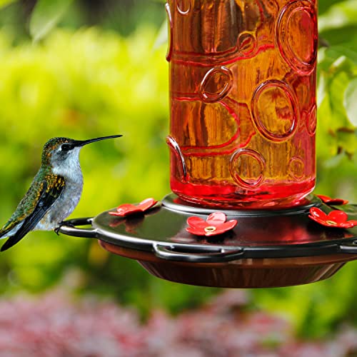 Juegoal 28 oz Glass Hummingbird Feeders for Outdoors, Wild Bird Feeder with 5 Feeding Ports, Metal Handle Hanging for Outdoor Garden Tree Yard, Red