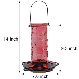 Juegoal 28 oz Glass Hummingbird Feeders for Outdoors, Wild Bird Feeder with 5 Feeding Ports, Metal Handle Hanging for Outdoor Garden Tree Yard, Red