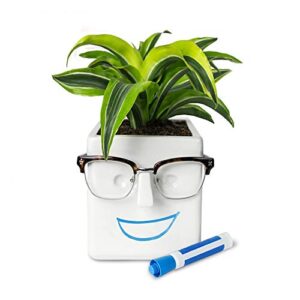 30 watt face plant, novelty planter holds small plants, glasses & you can draw on it. elegant ceramic pot for succulents, cacti or your average fern, perfect gifting