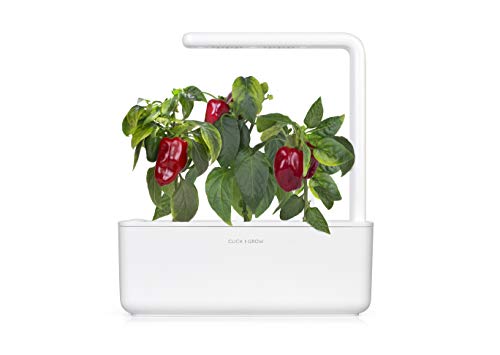 Click and Grow Smart Garden Red Sweet Pepper Plant Pods, 3-Pack