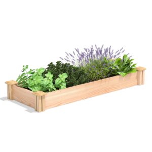 greenes fence miracle-gro cedar raised garden bed, 16" x 48" x 5.5" - made in usa with north american cedar