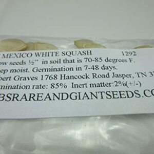 1292-Mexican White Squash (Calabacitas) Seeds by Robsrareandgiantseeds UPC0764425789925 Non-GMO,Organic,USA Grower,Bonsai,Showy,Container,Trellis,Hanging Basket,1292 Package of 7 Seeds