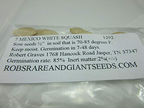 1292-Mexican White Squash (Calabacitas) Seeds by Robsrareandgiantseeds UPC0764425789925 Non-GMO,Organic,USA Grower,Bonsai,Showy,Container,Trellis,Hanging Basket,1292 Package of 7 Seeds