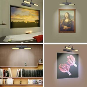 LUXSWAY Wireless Painting Light with Rotatable Light Head for Wall Art, Pictures,Painting,Artworking Display, Remote Control, Dimmable and Timer Off,Battery Operated-Black