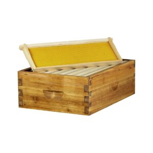 Hoover Hives 10 Frame Medium Super Box for Honey Bee Hives