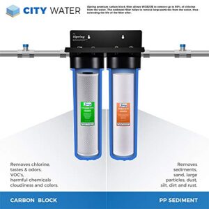 iSpring WGB22B 2-Stage Whole House Water Filtration System w/ 20” x 4.5” Sediment and Carbon Filters, and 3/4" Push-Fit Braided Stainless Steel Hose Connectors - Reduces up to 99% Chlorine