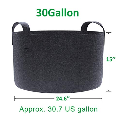Gardzen 6-Pack 30 Gallon Grow Bags, Aeration Fabric Pots with Handles