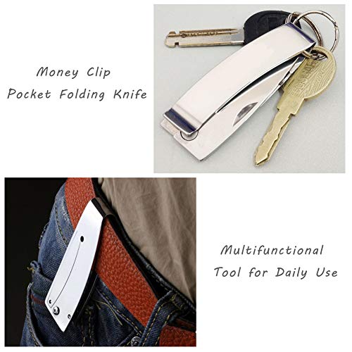 Money Clip Pocket Folding Knife - EDC Fold Knives Stainless Steel Silver Blade and Handle (Black)