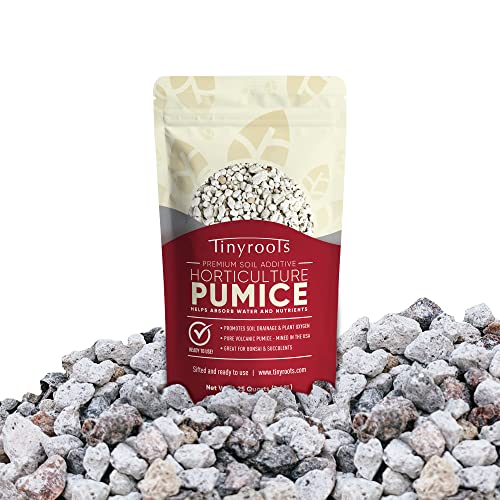 Bonsai Outlet Horticultural Pumice for Plants - Tinyroots Succulents, Cactus, Bonsai Plants - 100% Pure Bonsai Pumice Rocks, 1/4 inch Soil Additive, 2 Quarts