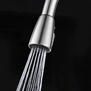 Purelux Faucet Spray Head for Tulip Kitchen Faucet, Brushed Nickel