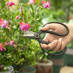 VISEMAN Japanese Bonsai Pruning Scissors-KinTakashi Gardening Shears for Bonsai Trimming