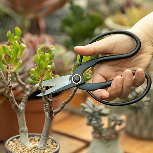 VISEMAN Japanese Bonsai Pruning Scissors-KinTakashi Gardening Shears for Bonsai Trimming