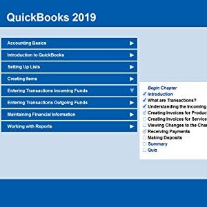 Individual Software Professor Teaches QuickBooks 2019