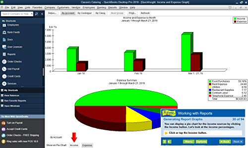 Individual Software Professor Teaches QuickBooks 2019