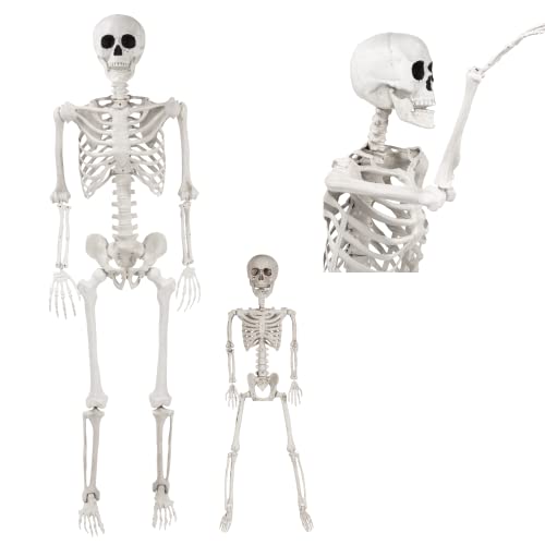 Posable Life Size Human Skeleton Family Set of 2 -Adult (5' 2")& Children (2')-Halloween Prop Indoor Outdoor Decorations w Bones- Fun & Educational Science Classroom