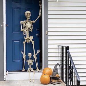 Posable Life Size Human Skeleton Family Set of 2 -Adult (5' 2")& Children (2')-Halloween Prop Indoor Outdoor Decorations w Bones- Fun & Educational Science Classroom