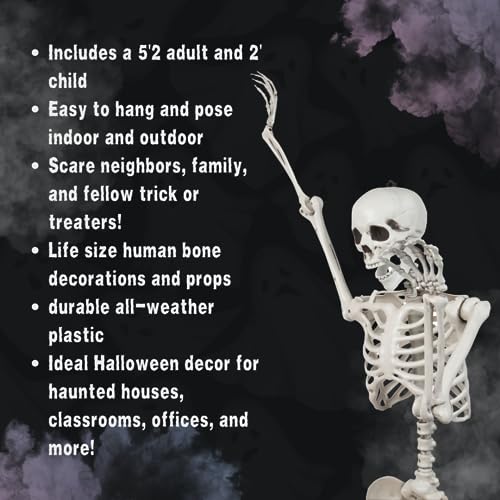 Posable Life Size Human Skeleton Family Set of 2 -Adult (5' 2")& Children (2')-Halloween Prop Indoor Outdoor Decorations w Bones- Fun & Educational Science Classroom