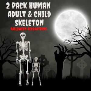 Posable Life Size Human Skeleton Family Set of 2 -Adult (5' 2")& Children (2')-Halloween Prop Indoor Outdoor Decorations w Bones- Fun & Educational Science Classroom