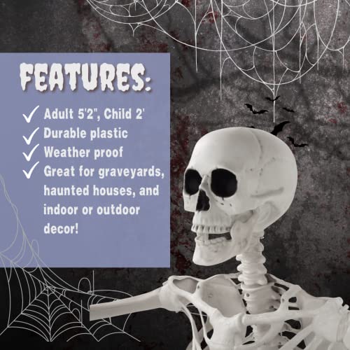 Posable Life Size Human Skeleton Family Set of 2 -Adult (5' 2")& Children (2')-Halloween Prop Indoor Outdoor Decorations w Bones- Fun & Educational Science Classroom