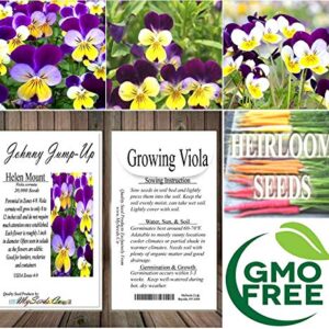 MySeeds.Co Big Pack - Johnny Jump Up Flower Seeds (20,000 Seeds) - Viola cornuta 'Helen Mount' - Edible Flower Seeds (Big Pack - Johnny Jump Up)