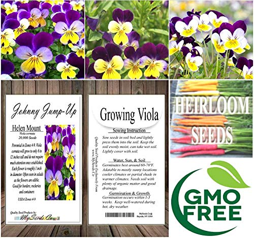 MySeeds.Co Big Pack - Johnny Jump Up Flower Seeds (20,000 Seeds) - Viola cornuta 'Helen Mount' - Edible Flower Seeds (Big Pack - Johnny Jump Up)